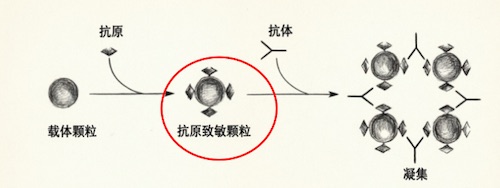 1781517126594651.jpg 123.jpg