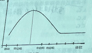 A.核右移